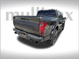 Certified 2024 Ford F150 Raptor w/ Equipment Group 803A Raptor R image 3