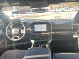 New 2025 Ford F150 XLT w/ Equipment Group 302A MID image 4