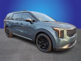 New 2025 Kia Carnival SX image 2