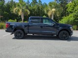 New 2025 Ford F150 Platinum image 3