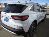 New 2025 Ford Escape Platinum image 5