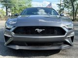 Used 2022 Ford Mustang Premium w/ Equipment Group 201A image 6