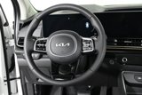 New 2026 Kia Carnival SX Prestige image 3