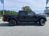 New 2025 Ford F150 Raptor image 2