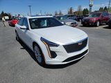 Used 2019 Cadillac CT6 Luxury image 4