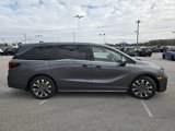New 2025 Honda Odyssey Elite image 5