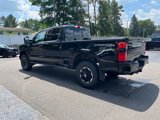 New 2025 Ford F350 Platinum w/ Tremor Off-Road Package image 4