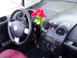 Used 2009 Volkswagen Beetle Blush image 6