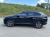 New 2024 Hyundai Tucson Limited image 3