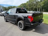 New 2025 Ford F150 XLT image 4