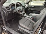 New 2025 Ford Escape ST-Line w/ Tech Pack #1 image 2
