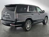 New 2025 Cadillac Escalade Premium Luxury Platinum image 5