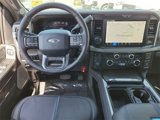 New 2025 Ford F250 Platinum w/ Tremor Off-Road Package image 4