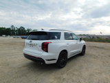 New 2025 Hyundai Palisade Calligraphy image 5
