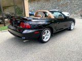 Used 1998 Ford Mustang GT image 2