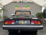 Used 1988 Alfa Romeo Spider Veloce image 5
