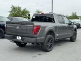 New 2025 Ford F150 Platinum w/ Equipment Group 702A High image 2