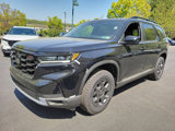 New 2025 Honda Pilot TrailSport image 2