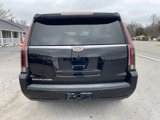 Used 2017 Cadillac Escalade Premium Luxury image 6