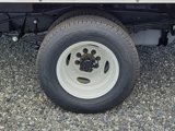 New 2025 Ford E-350 and Econoline 350 Super Duty w/ Driver's Safety Package image 5