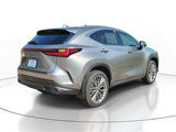 New 2025 Lexus NX 300h AWD w/ Luxury Package image 4