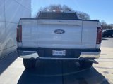 New 2025 Ford F150 Lariat w/ Equipment Group 501A Mid image 5