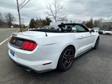 Used 2022 Ford Mustang Premium image 4