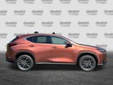 New 2026 Lexus NX 350 AWD w/ Premium Package image 5