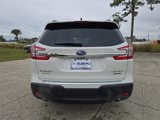 New 2025 Subaru Ascent Limited image 5
