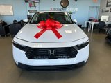 Used 2023 Honda Accord EX image 4