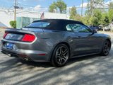 Used 2022 Ford Mustang Premium w/ Equipment Group 201A image 4