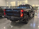 New 2025 Ford F250 Platinum image 4