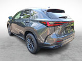New 2025 Lexus NX 350 AWD w/ Premium Package image 3
