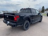 New 2025 Ford F150 XLT w/ Equipment Group 302A MID image 5