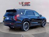 New 2025 Hyundai Palisade Calligraphy image 5