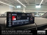 New 2026 Honda Passport TrailSport Elite image 5
