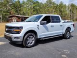 New 2025 Ford F150 XLT image 3