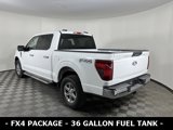 Used 2024 Ford F150 XLT image 3