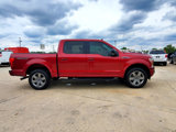Used 2019 Ford F150 XLT w/ Equipment Group 302A Luxury image 5