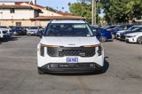 New 2026 Kia Carnival SX Prestige image 3
