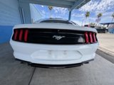 Used 2019 Ford Mustang Coupe image 4