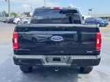 Used 2023 Ford F150 XLT w/ Equipment Group 302A High image 4
