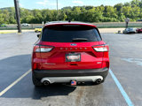 Used 2020 Ford Escape Titanium image 4