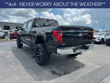 Certified 2024 Ford F150 XLT image 3