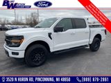 New 2025 Ford F150 XLT w/ Equipment Group 302A MID image 1