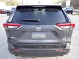 Certified 2019 Toyota RAV4 XLE Premium image 4