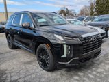 New 2025 Hyundai Palisade Calligraphy image 5