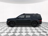 New 2026 Hyundai Santa Fe Calligraphy image 3
