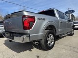 New 2025 Ford F150 XLT w/ Equipment Group 302A MID image 6