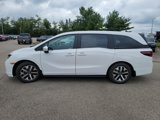 New 2026 Honda Odyssey EX-L image 4
